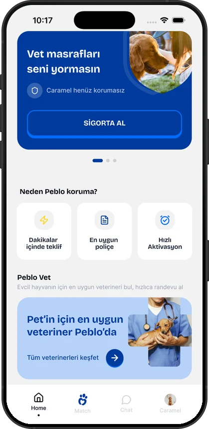 Peblo uygulaması ana ekranı: evcil hayvan sigortası ve online veteriner